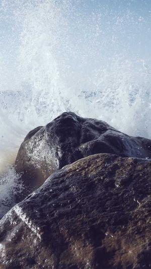 蜘蛛矿池不能注册了截图1