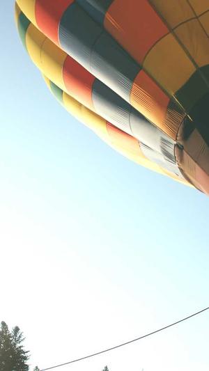 蜘蛛池购买平台截图1