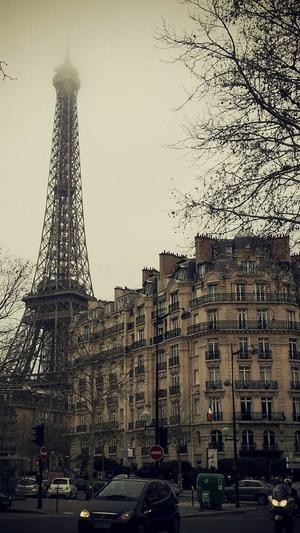 百度推广软件蜘蛛池截图1