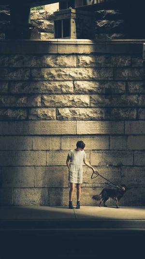 seo培训教程泛目录外推截图1