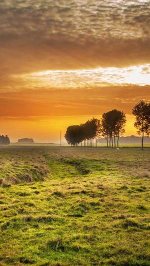 蜘蛛池 泛目录 出租截图5