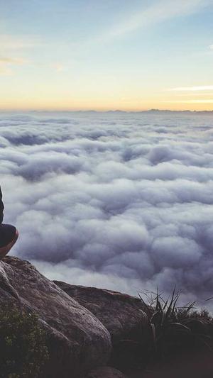 蜘蛛池推广平台截图1