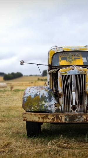 效果不错的蜘蛛池截图5