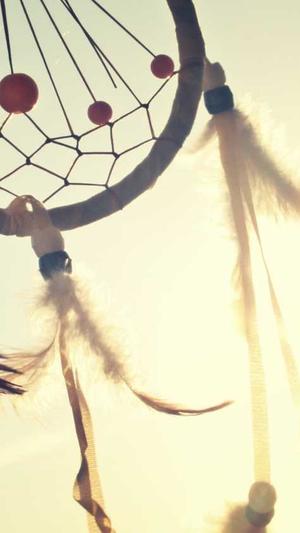 泛亚文化目录截图2