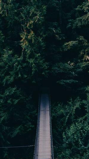 外推蜘蛛池推广工具截图2