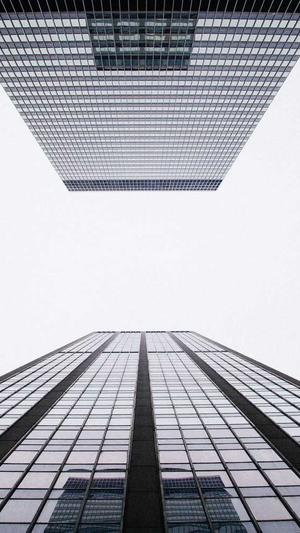 主播炸蜘蛛池是什么梗截图3