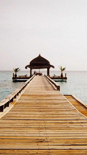 怎么举报泛目录网站截图1