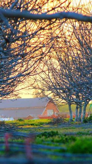 梦幻西游私服套路真多截图4