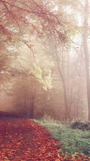 梦幻西游私服在哪下载截图3