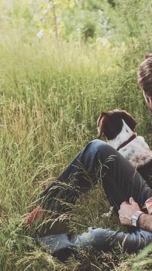 寄生虫泛目录截图2