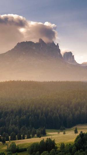 搜狗蜘蛛池程序怎么关截图5