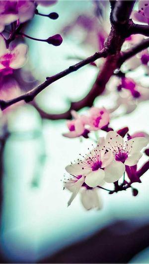 蜘蛛池的主要用处有截图4