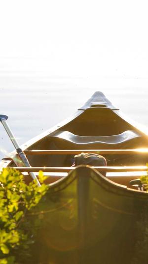 seo优化培训公司截图1