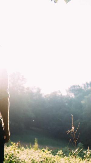 泛目录程序 破解版截图4