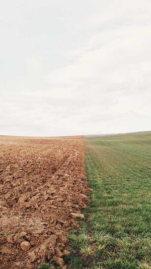 沈阳seo顾问截图4