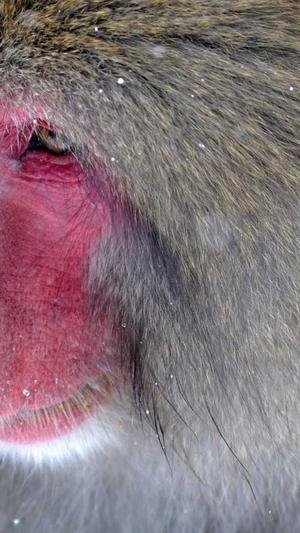 青岛seo优化截图5