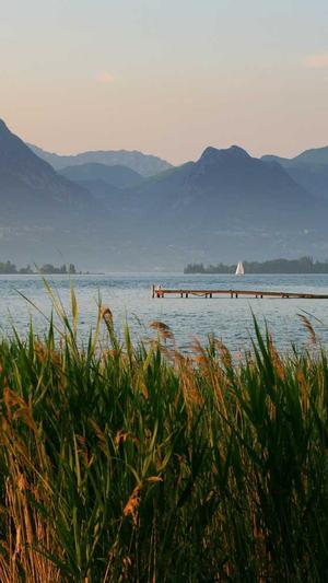 seo网站建设截图3