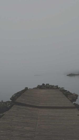 梦幻西游手游私服端截图5