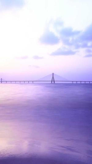 蜘蛛池秒收录截图3