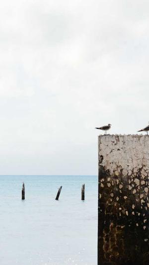 百度泛目录截图4