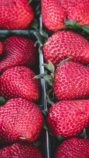 梦幻西游2私服截图3