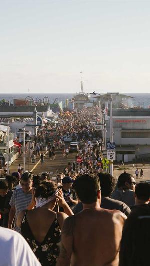 国内蜘蛛池排名第几截图3