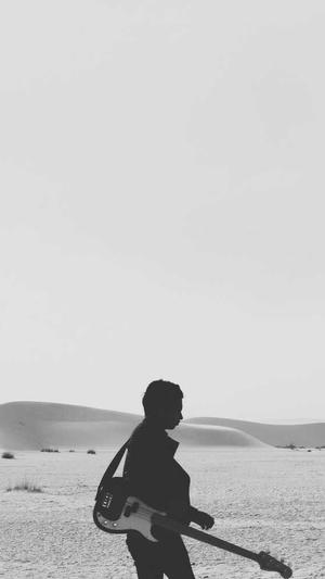 牛牛蜘蛛池截图4