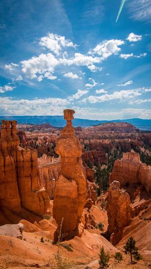 网站泛目录截图3