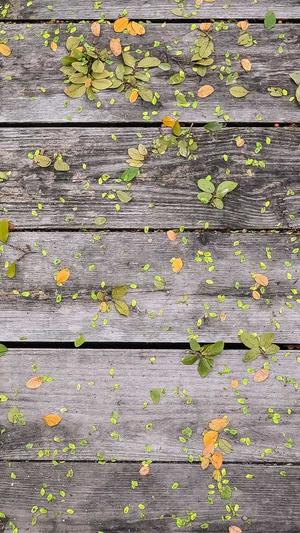 梦幻西游私服辅助工具截图1