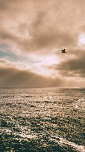 搭建蜘蛛池交易网站截图4