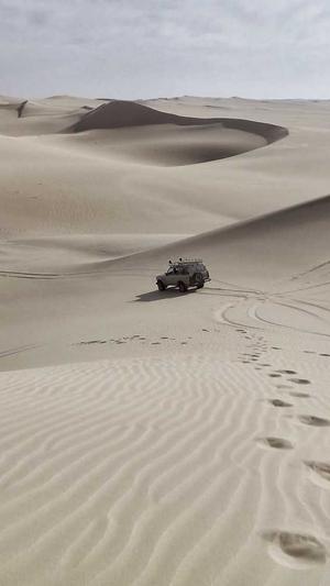 逆冬蜘蛛池课程截图1