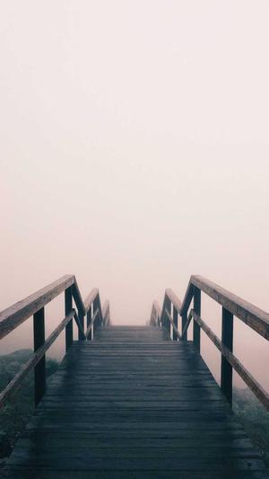 免费蜘蛛池搭建方法截图5