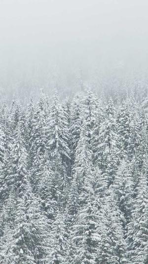 郑州seo培训截图4