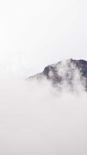 搜索引擎优化seo截图1