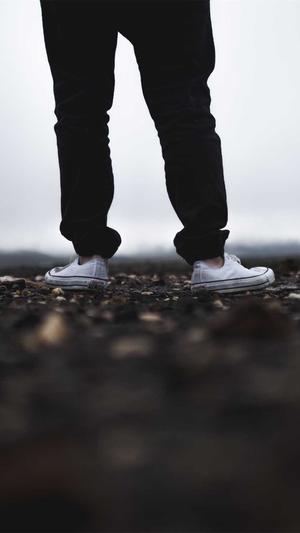 引蜘蛛池有联系方法吗截图2