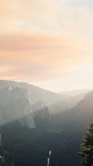 茂名seo优化截图3