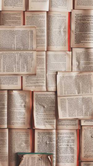 泛目录站群词霸视频站截图1