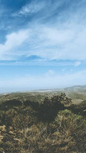 seo泛目录怎么操作外推截图2