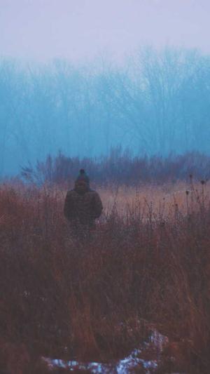 免费培训seo网站截图1