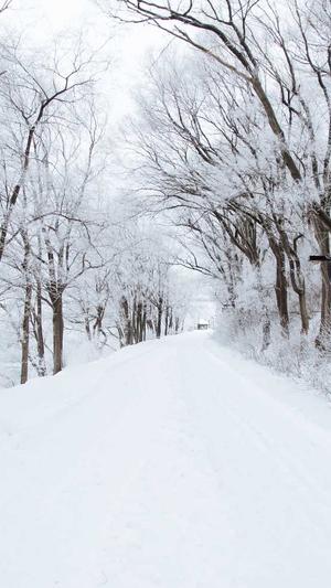 seo引擎优化培训截图3