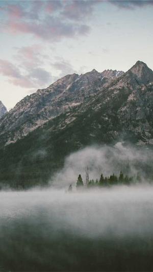 百度seo优化工具截图1