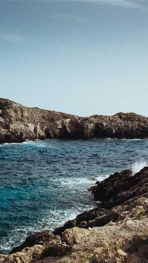 泛目录如何快速收录截图2