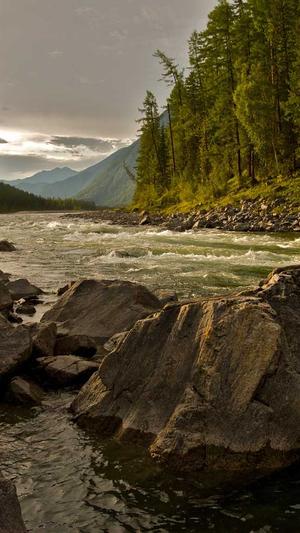 怀化seo优化截图1