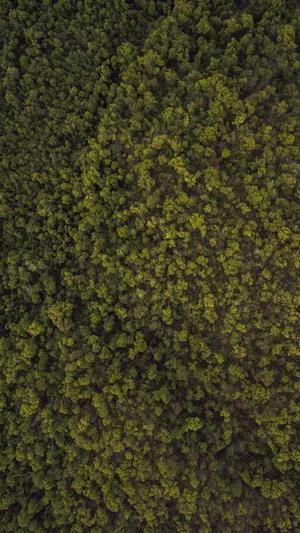 wpk软件那里有下载截图1