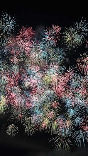 天道蜘蛛池截图4