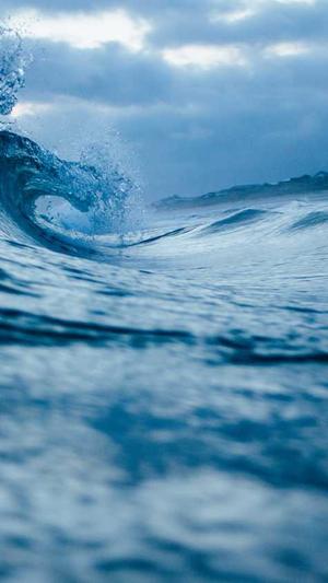 泛目录和寄生虫怎么做截图3